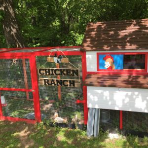 This is the coop that I built for my Chicken Ranch
