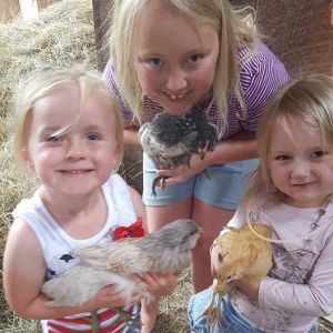 Girls and chickens. <3