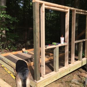 This new coop is 8x8, and the platform are 2x6's 16 inches on center...Lily dog feels the need to help in any way she can.