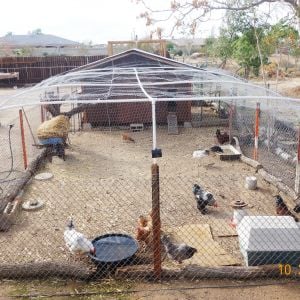 Overhead view of the coop and the run.