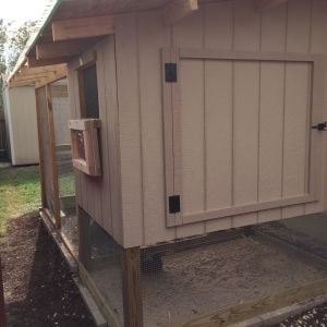 Back View - Big Door for cleaning and small window for aeration. Under the hen house, they have a sand pit.