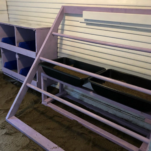 roosting bars & nesting boxes