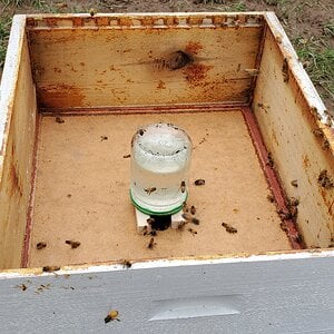 Package bees with syrup feeder