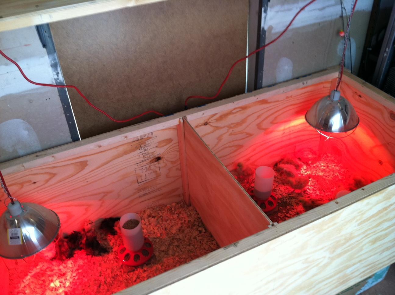 Show Me Your Brooder Need Ideas For My First Page 2 Show Me Your Brooder Need Ideas For My First Page 2