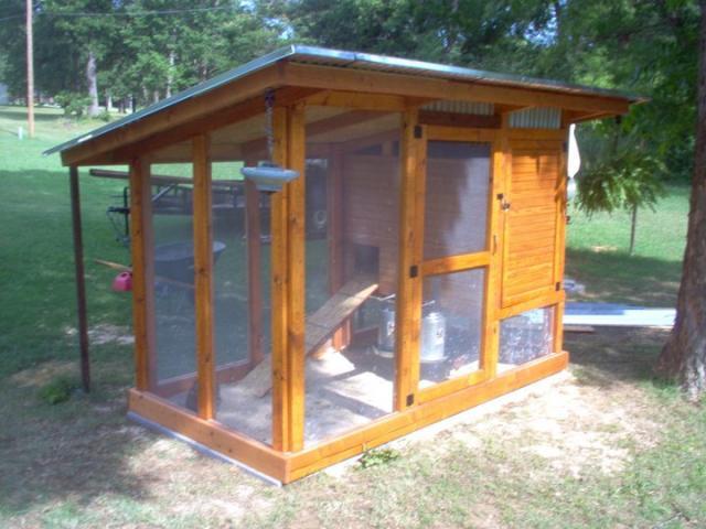 http://www.backyardchickens.com/forum/uploads/thumbs/111400_259848 ...