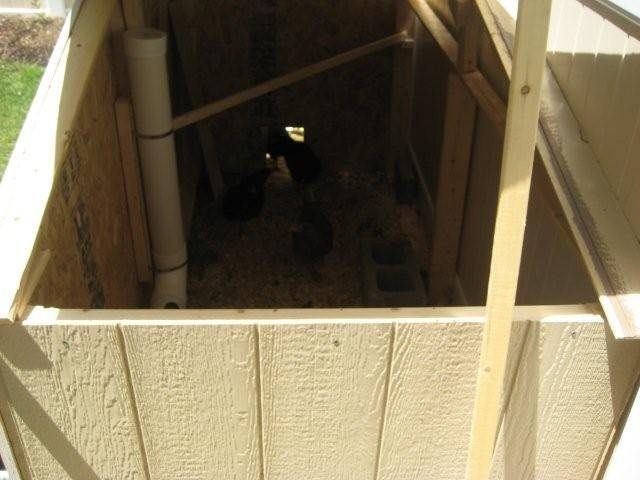 http://www.backyardchickens.com/forum/uploads/11146_chickencoop2_005