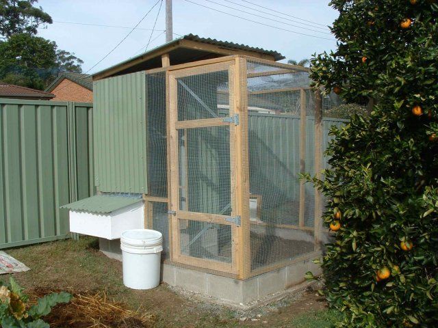 Chook Shed Designs