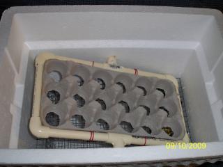  the incubator with the egg turner and the 18-hole egg tray in place