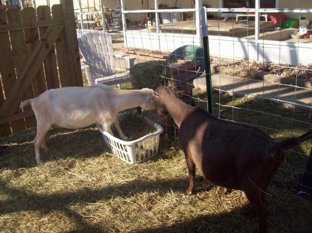 14550_100_0429.jpg