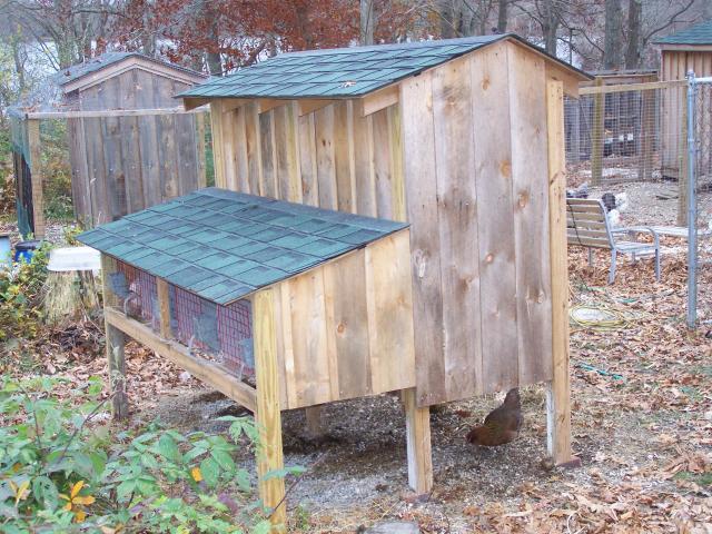 http://www.backyardchickens.com/forum/uploads/19063_000_3511.jpg