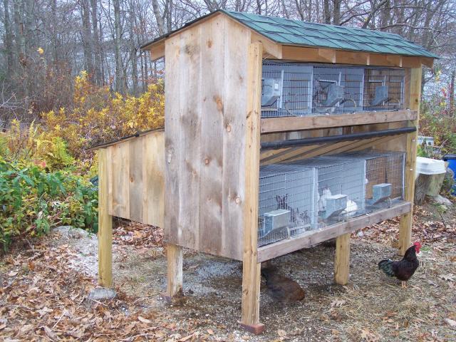 Meat Rabbit Hutch Plans