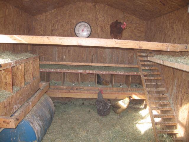 ... Solar Heated - Solar Powered Chicken Coop - BackYard Chickens