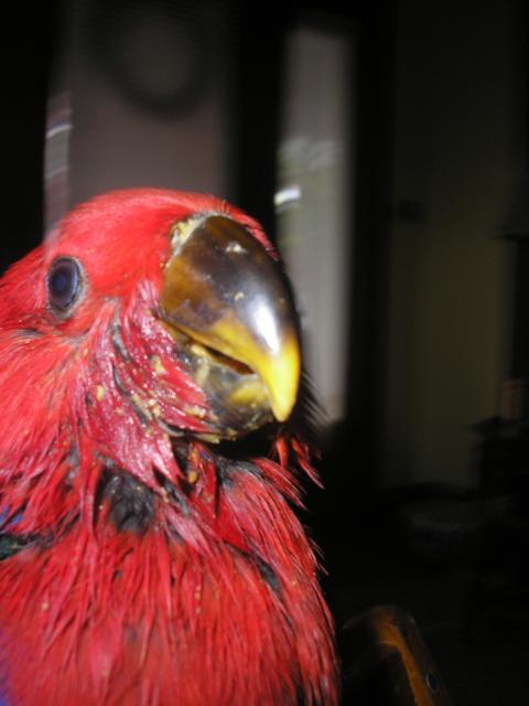 Posted Image