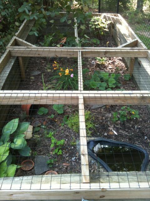 turtle habitat on pinterest outdoor tortoise enclosure turtle habitat on pinterest outdoor tortoise enclosure