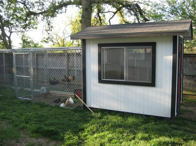 http://www.backyardchickens.com/forum/uploads/22131_4 22 09_001.jpg hardware cloth tulsa http://www.backyardchickens.com/forum/uploads/22131_4 22 09_001.jpg hardware cloth tulsa