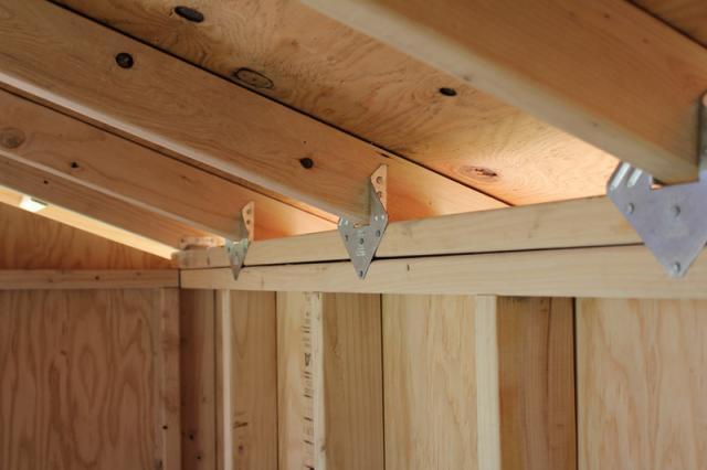 Building Rafters http://www.backyardchickens.com/a/coop-build-2011