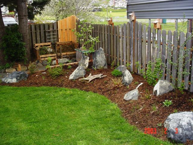 ... the start of the chicken coop. New native plant garden on the right