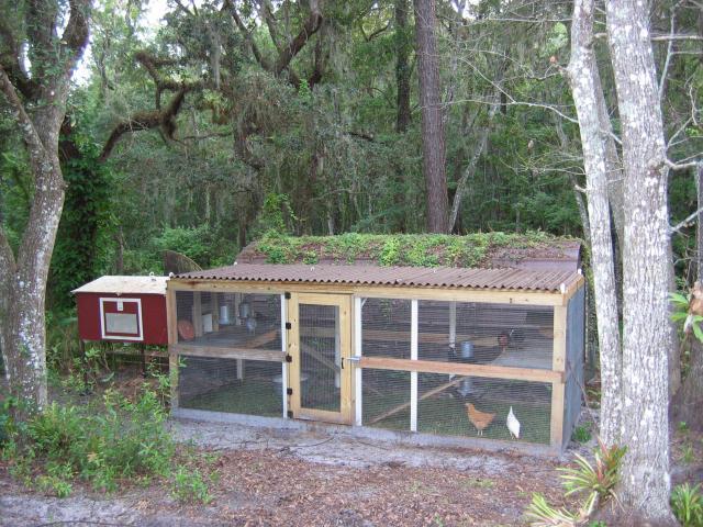 Diy Chicken Coop February 2016