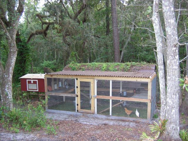 The Nancy Creek Coop - Irf1983's Chicken Coop - BackYard Chickens 