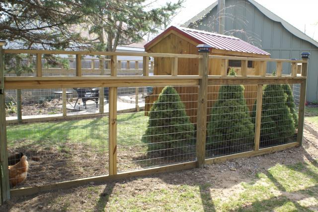 ... chicken coop fence. I think this would be wonderful for my chickens