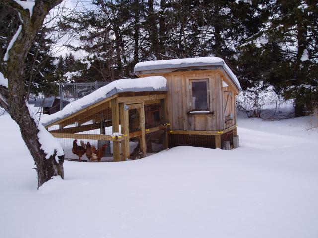 Coop In The Winter - BackYard Chickens Community