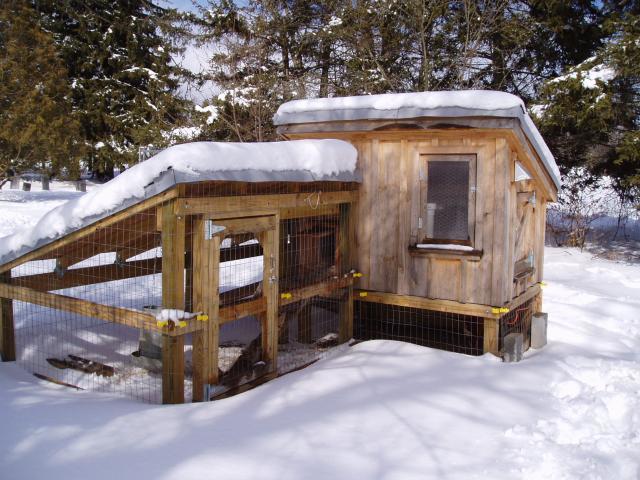 only used the plywood panels on the north side. The birds freaked ...