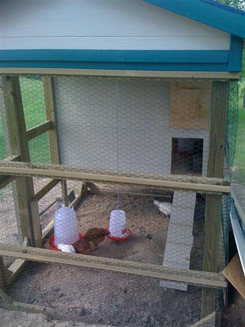 ... and water hang outside from chain. there is also water inside the coop