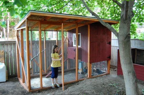 chicken coop plans. In Day At The Chicken Coop