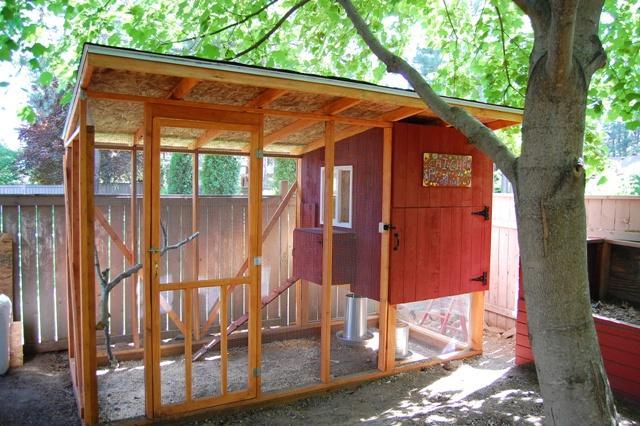 Backyard Chicken Coops