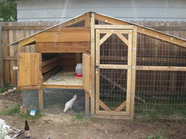 chicken coop large: Chicken Coop Run Door Size