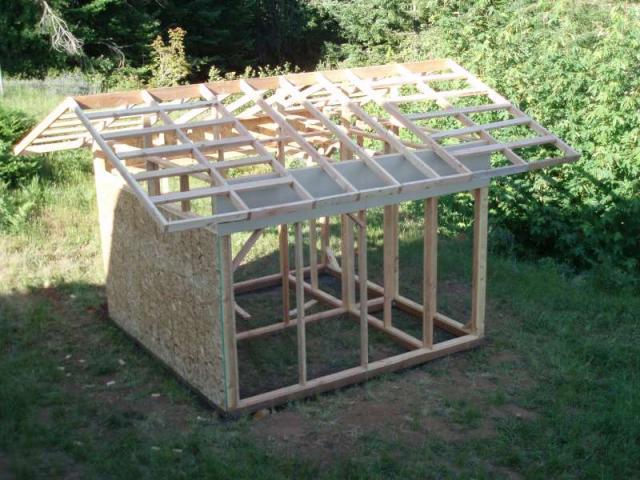 Topic Building a pigeon coop ~ Coopy co