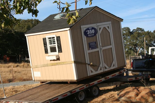 Clearance Sheds Lowe's