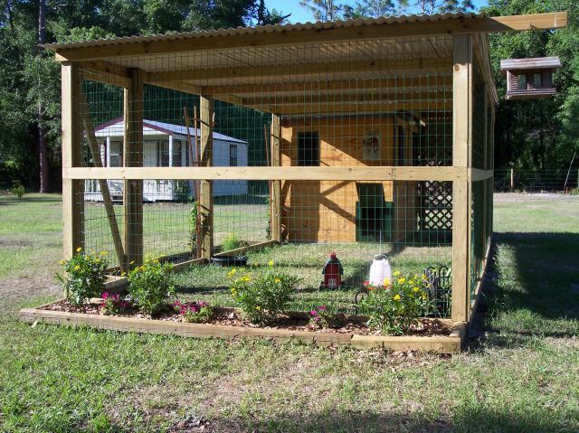 Chicken Coop Shed