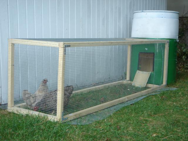 Yam Coop: Information How to make a little chicken coop