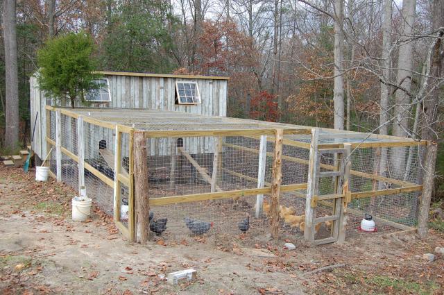 Barred Rocker's Chicken Coop