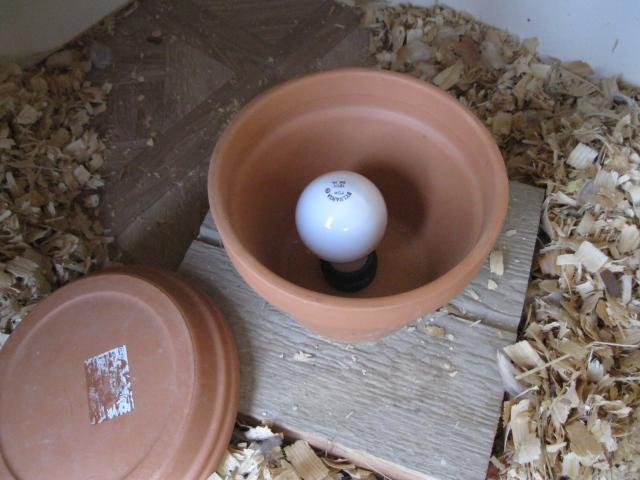 www.backyardchickens.com/forum/uploads/37862_clay_pot_heater_005.jpg