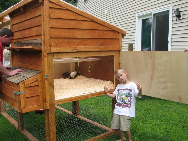 Get small scale chicken coops