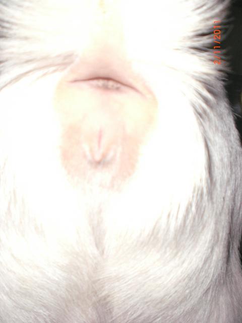 39440_cimg5139.jpg