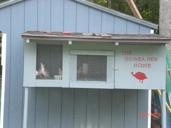 39440_guinea_house1.jpg