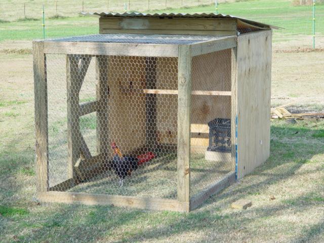 How To Build A 4 X 4 X 8 Brood Pen - BackYard Chickens Community