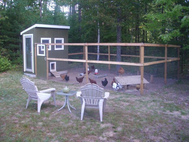 Mlo88jco's Chicken Coop - BackYard Chickens Community