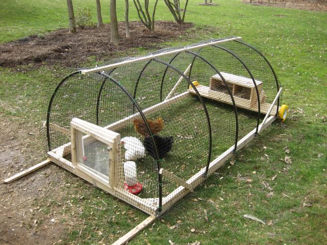 Chicken Tractor Forager - BackYard Chickens Community