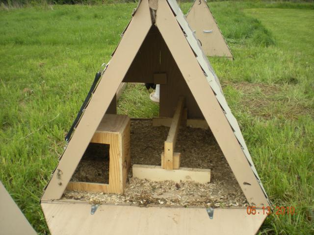 chickens run poultry house home hand different box 30 down garden