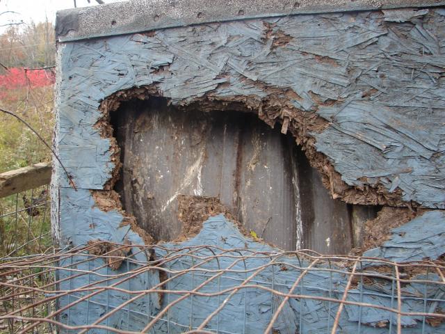4439_holes_from_pred_005.jpg
