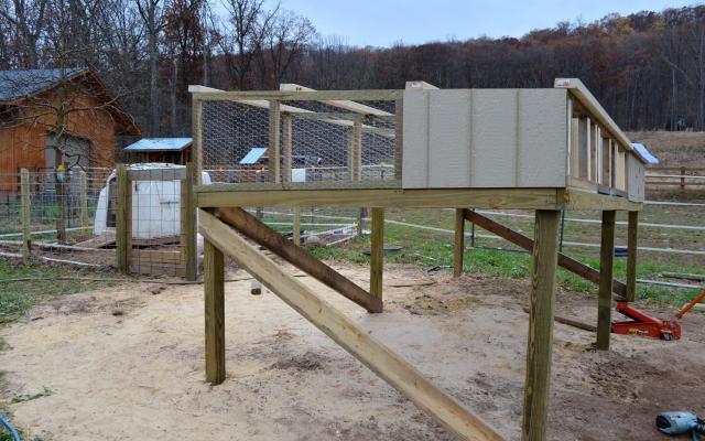 Call+Duck+Breeding Call Duck Breeding http://www.backyardchickens.com/t/597638/our-new ...