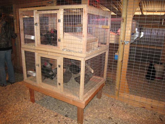 Pair and trio cage sizes?