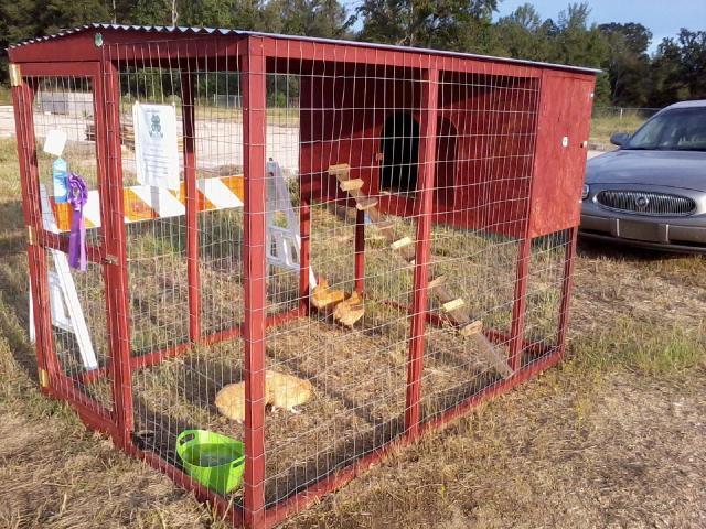 Best of Show, Drew County Fair. We entered the coop in our Drew County 