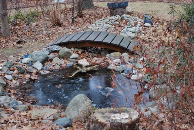 Backyard Aquaponics