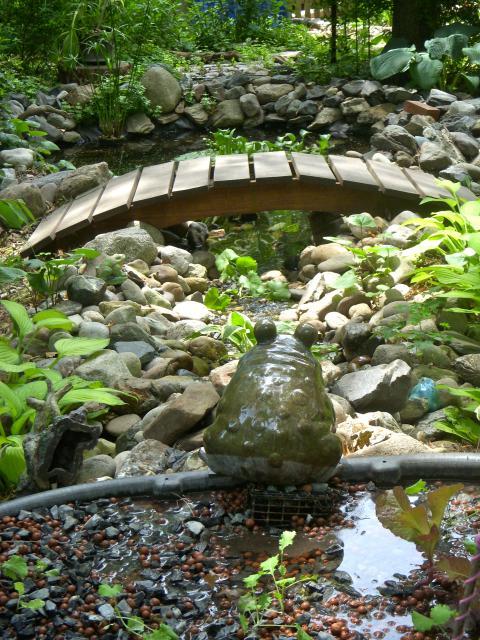 Backyard Aquaponics • View topic - Tilapia pond setup, a ...
