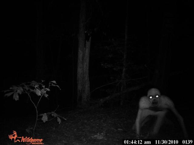 53363_trailcam.jpg